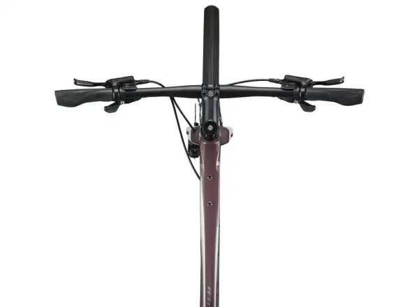 Giant FastRoad AR 3 fitness bicykel charcoal plum