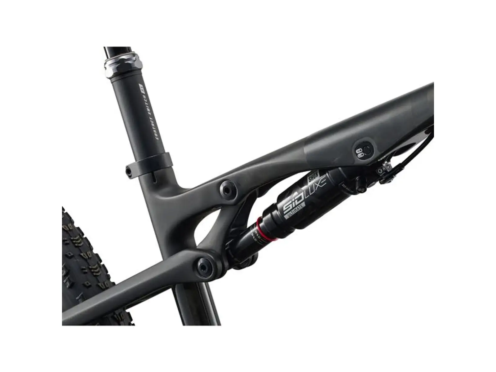 Giant Anthem Advanced 0 horský celoodpružený bicykel Raw Carbon