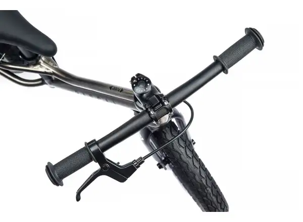 Rascal Punk Titanium detské odrážadlo