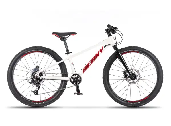 Beany Blaster XC 20 detský bicykel White