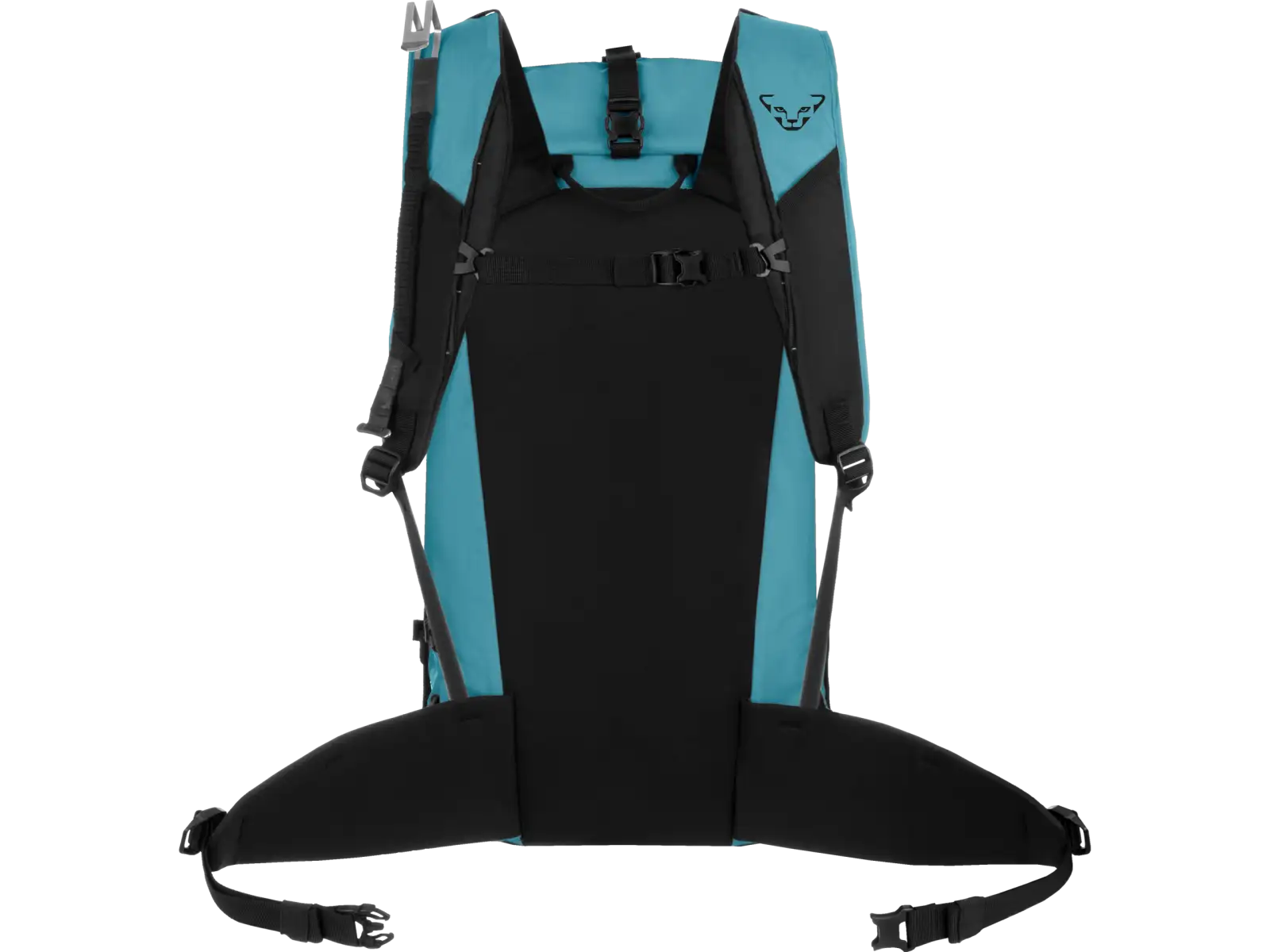 Batoh Dynafit Expedition 36 l Storm Blue/Blueberry