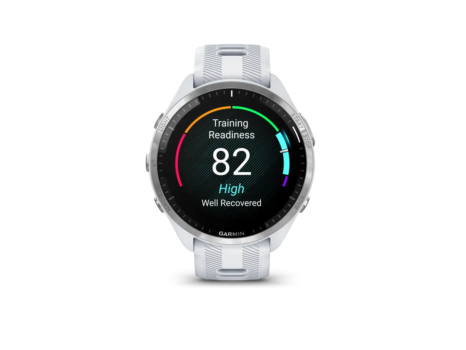 Garmin Forerunner 965 smart hodinky Silver Titan/White