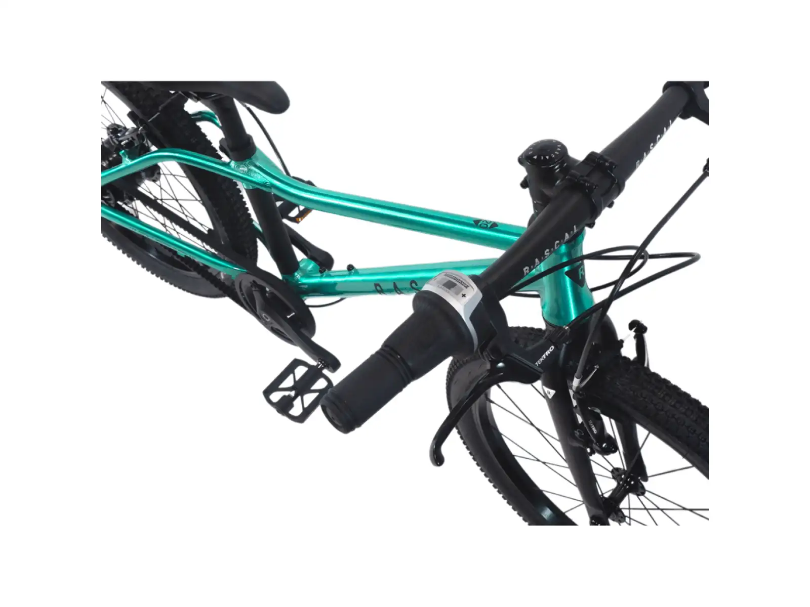 Rascal 20 Limited detský bicykel Emerald
