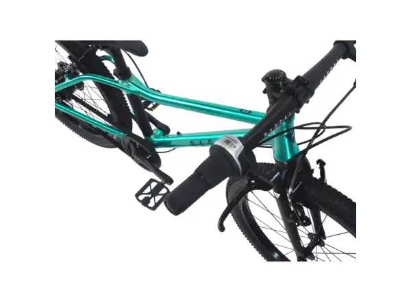 Rascal 20 Limited detský bicykel Emerald