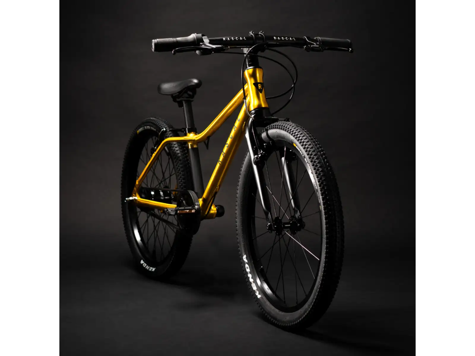 Rascal 20 detský bicykel Gold