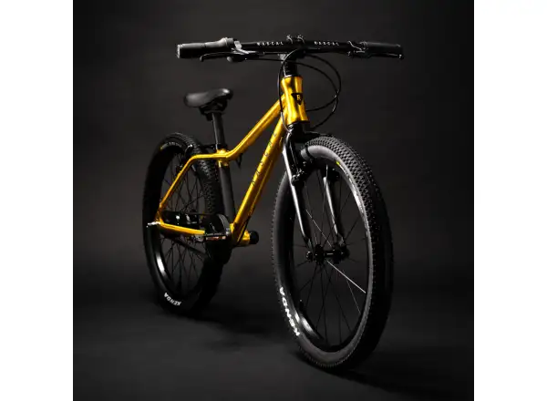 Rascal 20 detský bicykel Gold