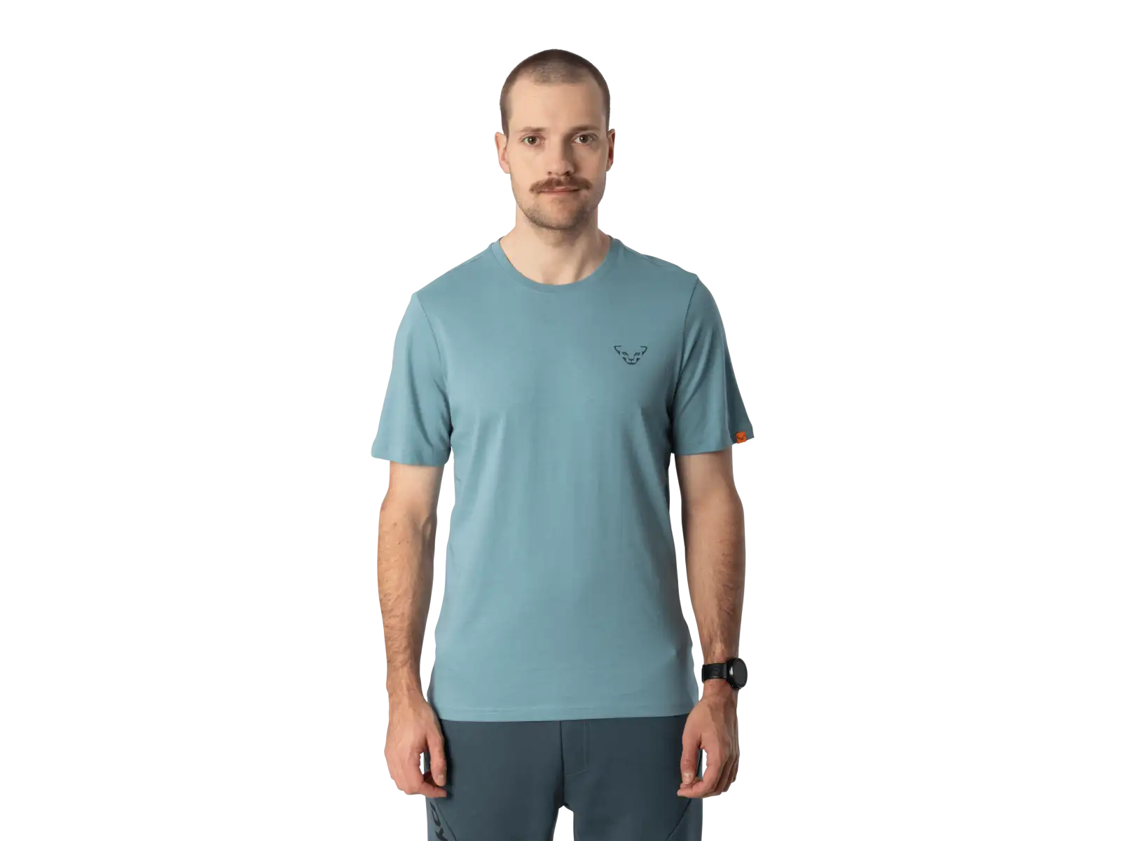 Dynafit Back Graphic Cotton pánske tričko krátky rukáv Smoke Blue/Approach
