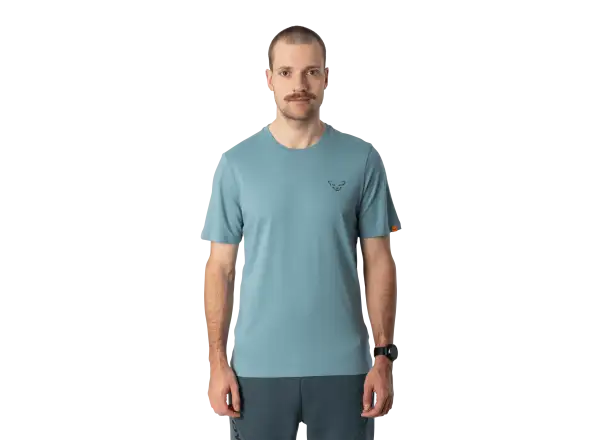 Dynafit Back Graphic Cotton pánske tričko krátky rukáv Smoke Blue/Approach
