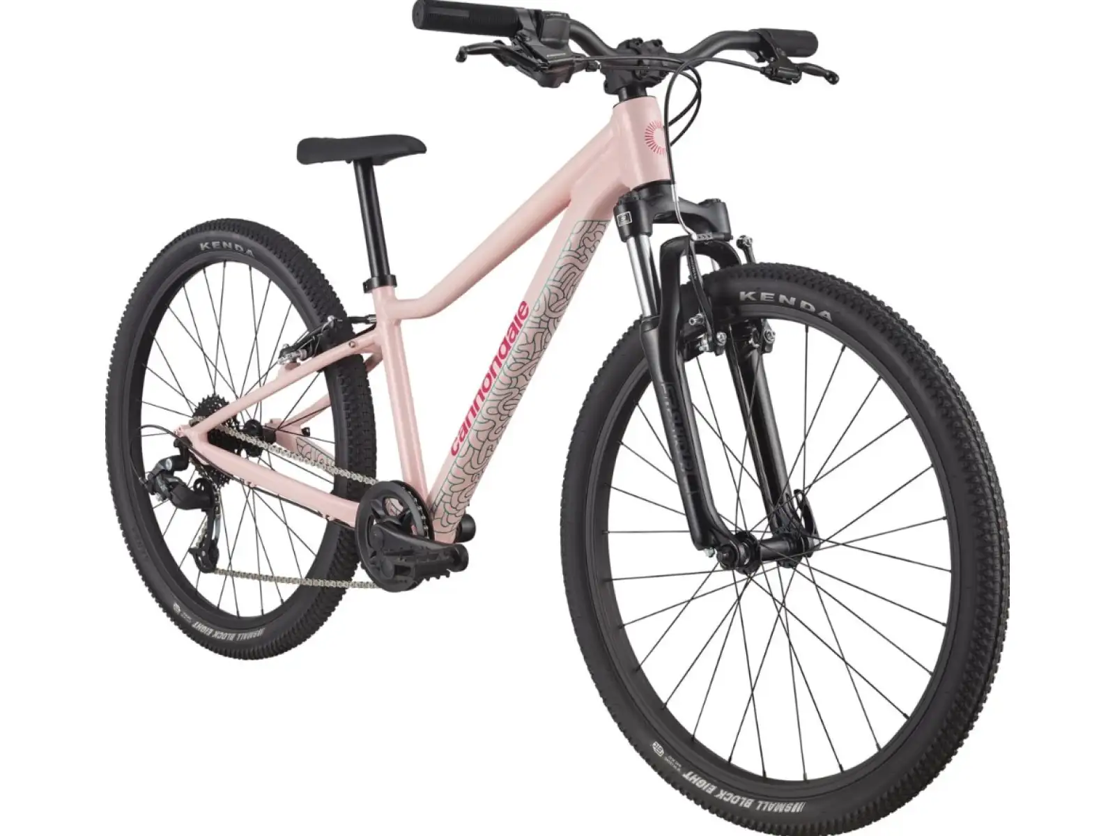 Cannondale Trail 24 detský bicykel DPK