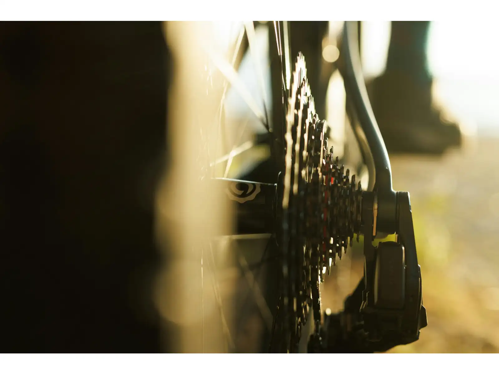 Ibis Ripley V5 XTR Di2 horský bicykel Green Flash