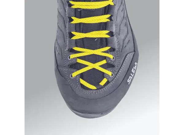 Salewa Alp Trainer 2 GTX pánske topánky Bungee Cord/Black