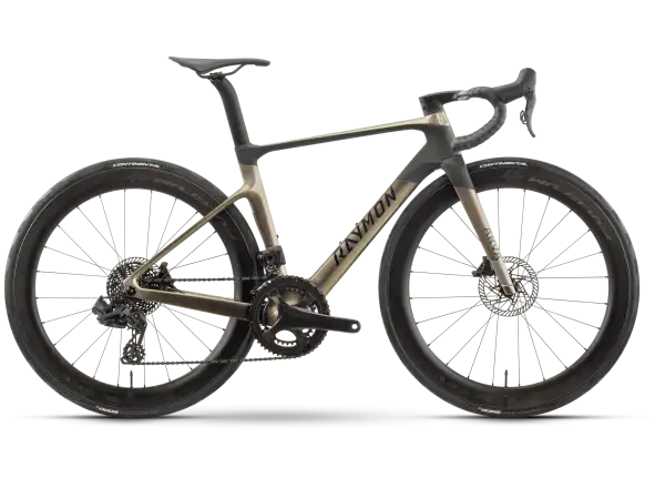 Raymon Arva Elite 26s Record cestný bicykel carbon/champagne