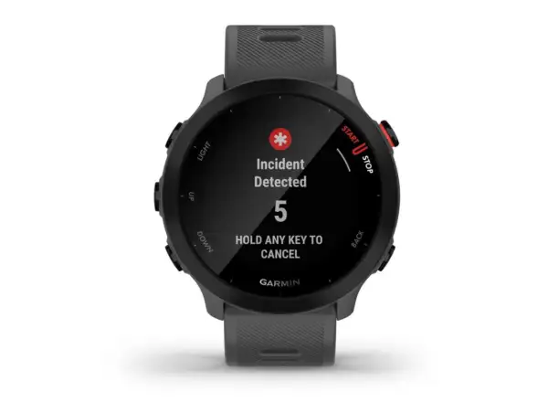 Garmin Forerunner 55 inteligentné hodinky Grey