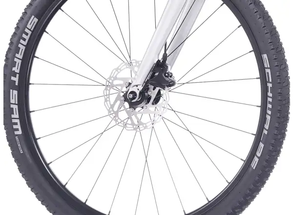 Superior F.L.Y. 27 detský bicykel Matte Silver