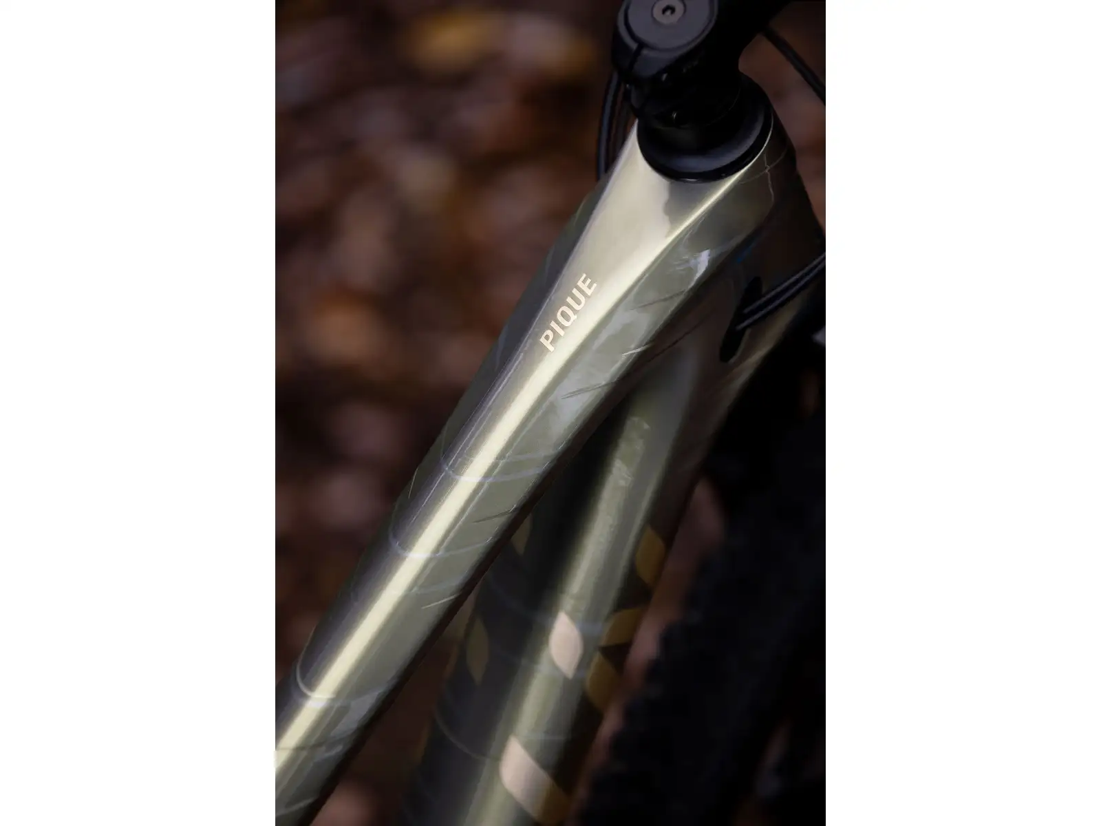 Liv Pique Advanced 29 2 horský bicykel Golden Haze