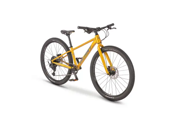 Beany Blaster XC 26 detský bicykel Gold