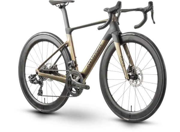 Raymon Arva Elite 26s Record cestný bicykel carbon/champagne