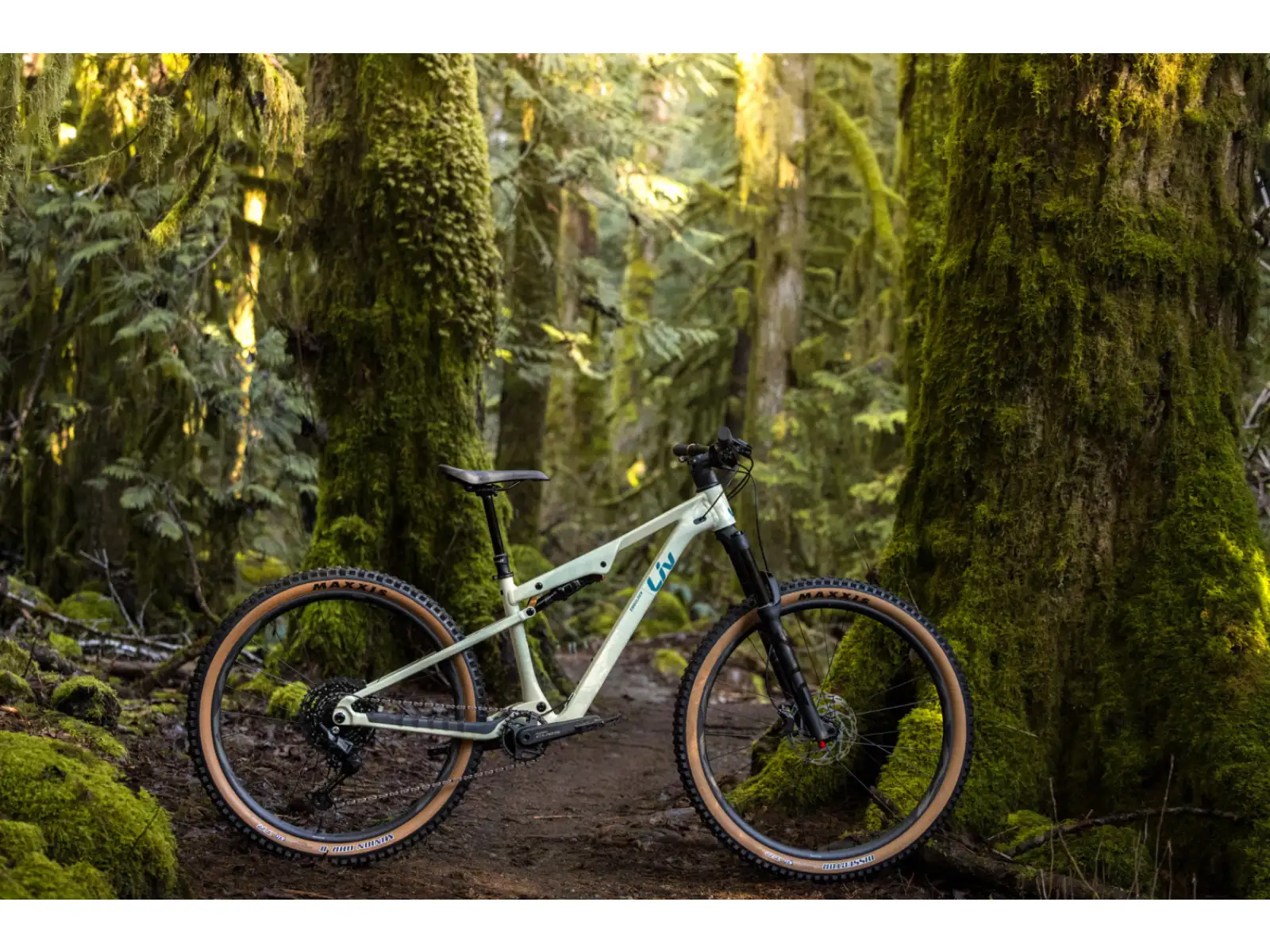 Liv Embolden 2026 horský bicykel Pale Moss