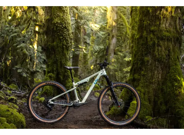 Liv Embolden 2026 horský bicykel Pale Moss