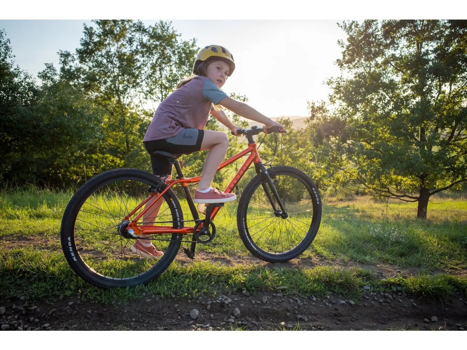 Rascal 26 Flame 7 sp. Shimano Nexus detský bicykel