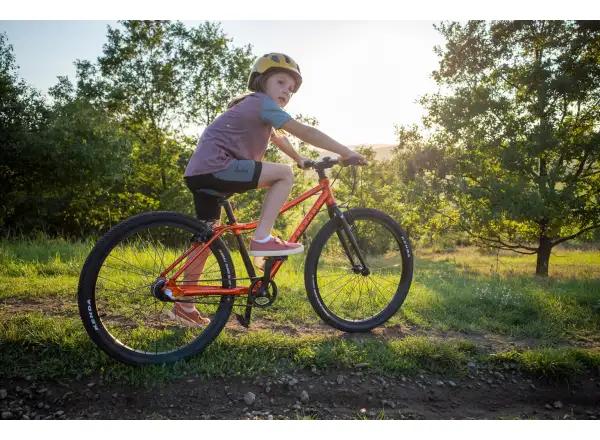 Rascal 26 Flame 7 sp. Shimano Nexus detský bicykel