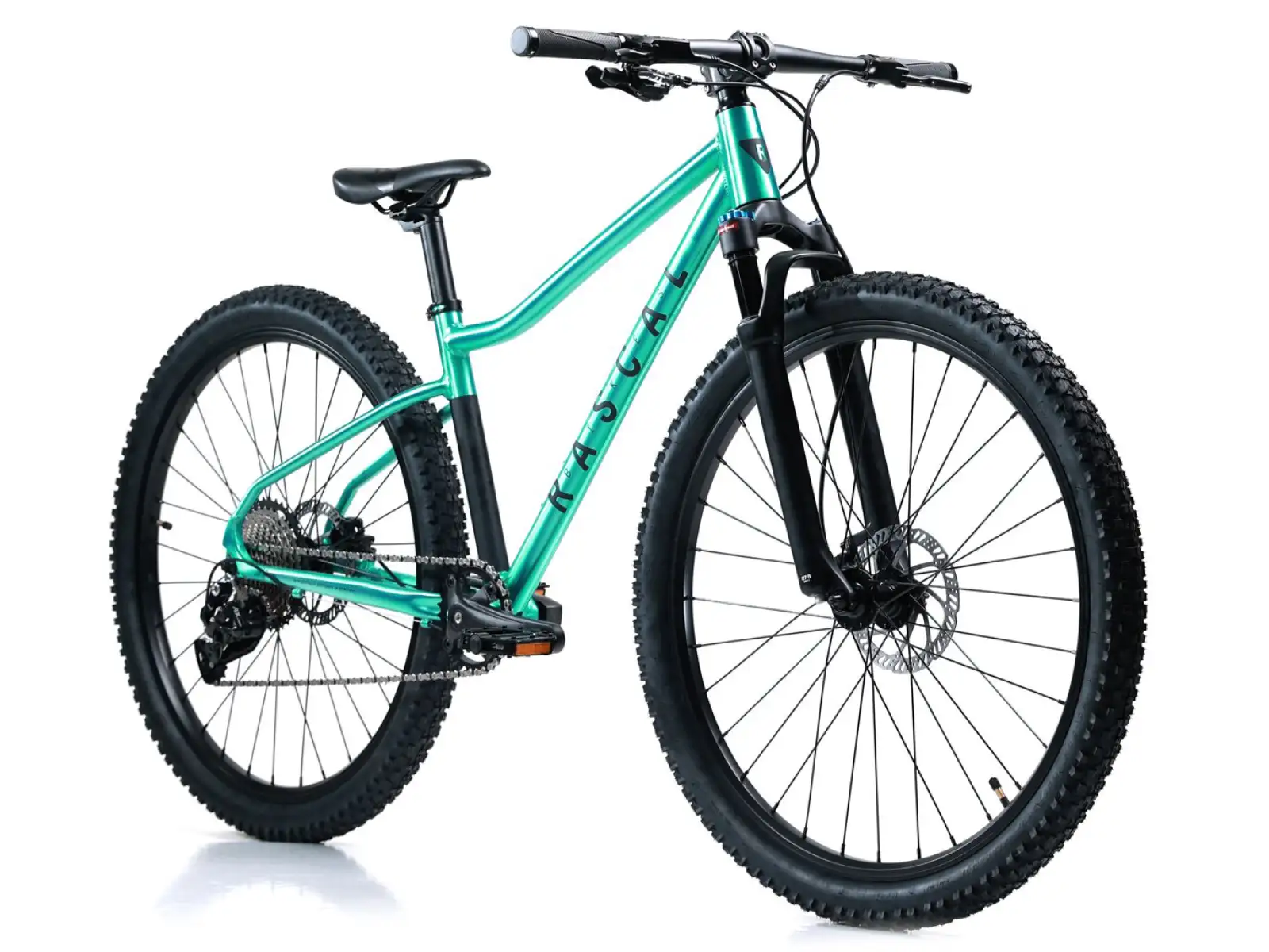Rascal Wild 29 detský bicykel Emerald