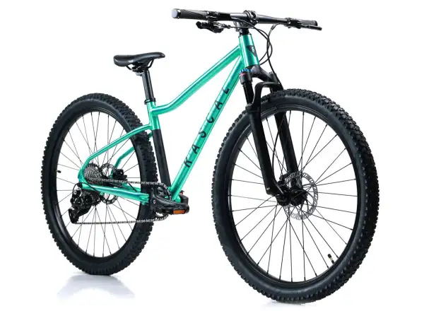 Rascal Wild 29 detský bicykel Emerald