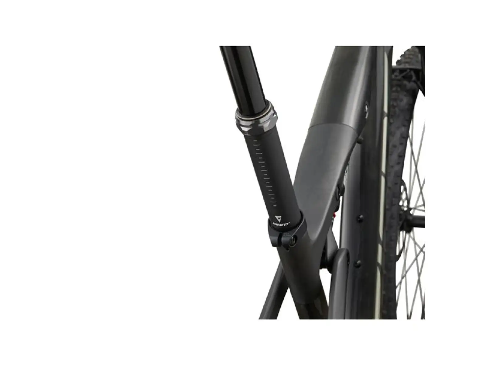 Giant Anthem Advanced 0 horský celoodpružený bicykel Raw Carbon