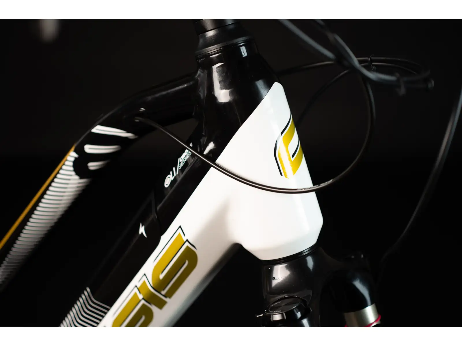 Crussis OLI Cross low 8.8-M krosový elektrobicykel